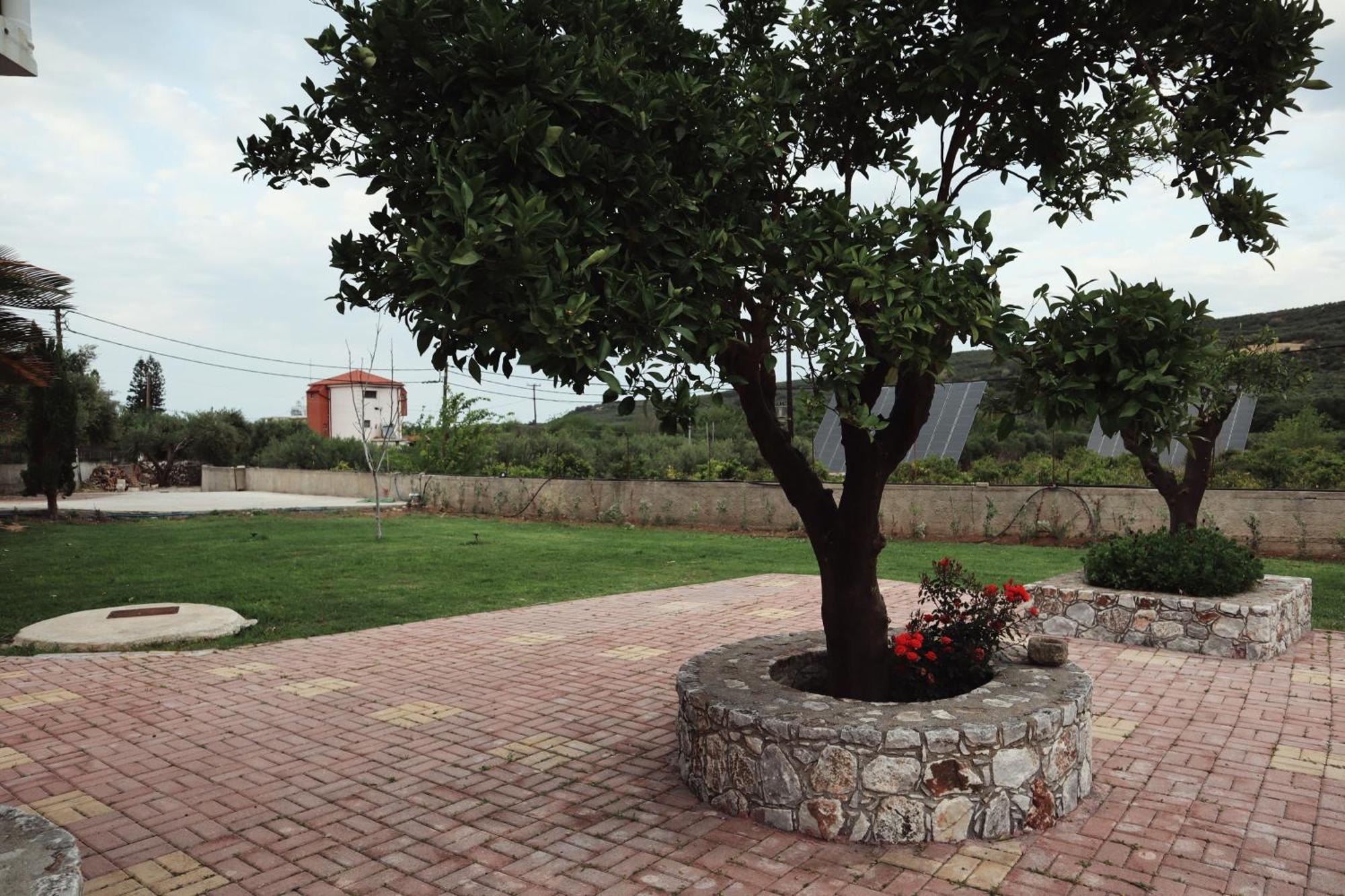 Villa Elea Apartments Spiliá Exterior foto